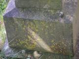 image of grave number 954098